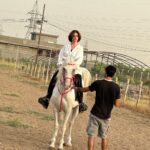 Zahra Habib Instagram – اول دروس ركوب الخيل 
لاتخاف منه حتى ميسطر عليك 
اخترنا نتدرب على خيل شخصيته قوية واللي هي بداية صعبة بس بداية تجنننننن….
ركضة الفرس غيرررر كلش غير….
رح نتابع اني وانتوا هاي الدورس يا اصير محترفة يا اما اجيكم ابجي 😂
شجعووووني بالله عليكم Baghdad, Iraq