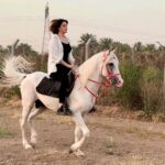 Zahra Habib Instagram - اول دروس ركوب الخيل لاتخاف منه حتى ميسطر عليك اخترنا نتدرب على خيل شخصيته قوية واللي هي بداية صعبة بس بداية تجنننننن…. ركضة الفرس غيرررر كلش غير…. رح نتابع اني وانتوا هاي الدورس يا اصير محترفة يا اما اجيكم ابجي 😂 شجعووووني بالله عليكم Baghdad, Iraq