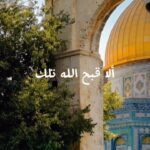 Zahra Habib Instagram - ٢٢ عار ٢٢ خزي ٢٢ عبيد إلا قبّح الله وجوهكم يا حرامية سنين كاعدين على الكراسي منكم المطبعين ومنكم المستهترين ومنكم الخائفين . إلا قبح الله وجوهكم خليتونا نعيش اذل جيل بتاريخنا الحديث يا جبناء