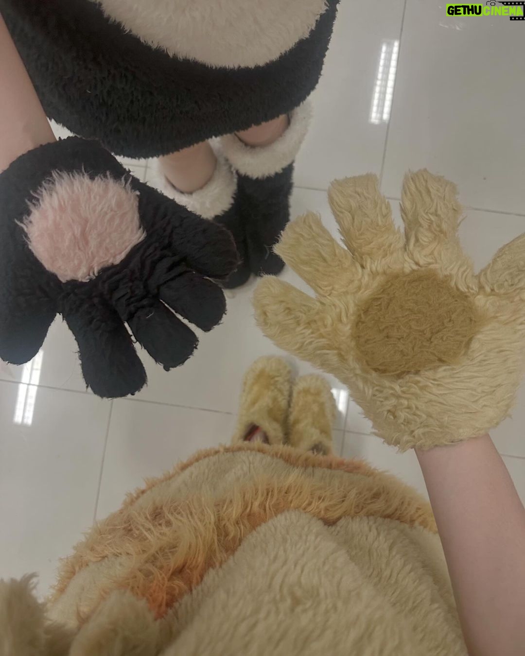 Zee JKT48 Instagram - happy 12th anniversary JKT48!