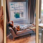 Zoe Sugg Instagram - Week 13 of 2024 ✨ THE WEEK I TURNED 34! [ad- contains pr stay] 1. Woke up on my birthday in the beautiful @langham_london with my little family and some breakfast room service! Definitely one of those moments where I felt so grateful and lucky, not only to be so happy, but to be turning 34 and to be surrounded by people I love the most in the whole wide world ♥️ 2. The comfiest bed 😍 3. Once we got home from a couple of days in London we had the family over (& @markyyferris who is basically family anyway haha) and celebrated at the house 4. The girls looking oh so tiny in the bed at the hotel! (And yes, that is a Mr Bean Teddy, Ottie is that obsessed with Mr Bean 😂 5. Daddy & smiley girl Novie 🥰 6. Ready for a day in London! 7. We had afternoon tea in @langham_london which was absolutely incredible (probably my favourite afternoon tea I’ve ever had) the patisserie cakes were influenced by classic biscuits with a twist and every single one was 10/10. They also do a children’s afternoon tea which Ottie absolutely loved! 8. Running around with the balloons all day everyday 😂 9. Last time we stayed in this room/vs now! 😭 I was around 26 weeks pregnant with Ottie last time! 10. It’s not a birthday without a @stylisheatsuk for the fam! 😋 Basically just had the best week & a huge thank you to @alfiedeyes as always for going above and beyond to make the day so magical & to the @langham_london for looking after all 4 of us in their beautiful hotel! And also, a huge huge thank you for all of you who messaged to wish me a happy birthday ♥️♥️♥️ P.s. I had SO many photos from this trip I actually struggled to narrow it down to my ten favourites so I will do a more thorough run down on my stories!