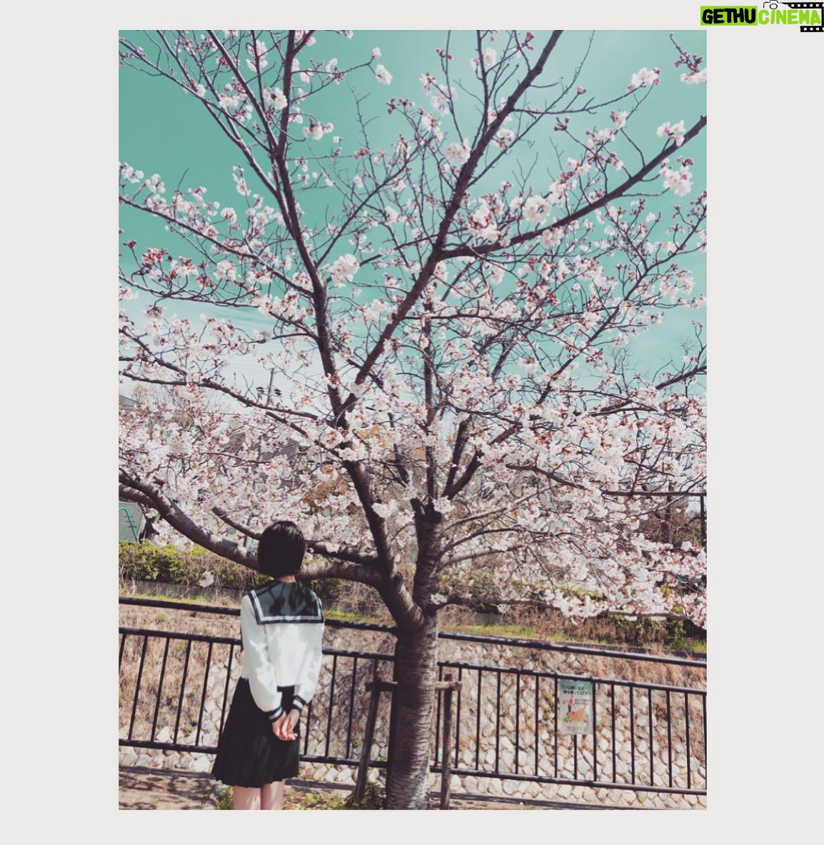 Minami Hamabe - 245K Likes - 思い思われふりふられ