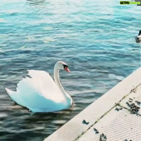 Sare Bayat Instagram - خداوند،
تو را به سمت نقطه ای امن هدایت خواهد کرد،با عشق،تو را در آغوش می گیرد و به تو پناه میبخشد،،
جایی شبیه به آرامشی پس از طوفان،قرار،خواهی گرفت،،، یاد و عکس از بنده