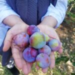 Sare Bayat Instagram - خدای عزیزم؛
برای تک تک لحظات زندگی از شما سپاسگزارم🤲
جمعه جذابی داشته باشین.