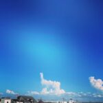 Kasumi Arimura Instagram - 何に見える？🍤🍤
