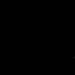Niki Karimi Instagram - 🖤
عجب اين شب بلند است و اين غم سنگين
#محمدرضا_شجریان