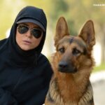 Sahar Dolatshahi Instagram – لحظه اي از سريال عاليجناب.  همراه با تيلداي باهوش 😍عكس از حبيب مجيدي