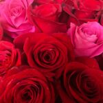 Nia Long Instagram - The love is real.  Be what you want to receive...Happy Valentine’s babies. 💋