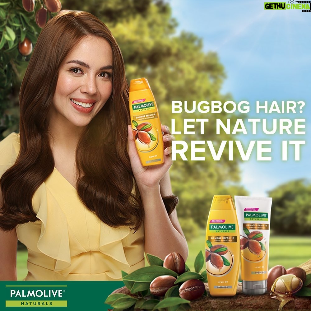 Julia Montes Instagram - Yes! I'm your new Palmolive Girl ! 💛💛💛 #palmolivenaturals #palmolive #JuliaMontesForPalmolive