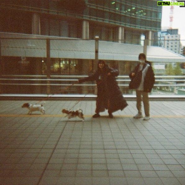 Asami Mizukawa Instagram - 栄利子と圭子とは元親友というような設定で、わたしとカンナとはまぁもぅ親友を通り越し親戚の様な間柄でもあるので…こう、ガッツリと芝居でやり取りというのは何とも不思議で面白い感覚で、そしてほんのちょっと気恥ずかしかったです。
カンナの圭子ステキでした。
この機会に同じ作品で関われたのは、わたし自身はとても良い思い出にもなったな。
#ナイルパーチの女子会
#フィルムで撮った現場写真
