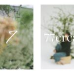 Asami Mizukawa Instagram - この度、77circaと一緒に服を作りました。
わたしのラッキーナンバーの7をプラスして
『7 77circa』で展開する事になりました。

私自身普段から心地よくなるべく天然で自然なものを身につけたい、そして長く着れば着るほど自身の体にどんどん馴染んでその風合いに愛着が湧くような、シンプルで経年変化を楽しめるような服に出会えたら…とこの企画がスタートしました。
シルクを身に纏う心地よさから自己の世界を広げ、また外の世界へもっともっと別の意識を向けて是非新しい自分に出会えるきっかけなれば嬉しいなと思います。

今日から77circaさんでサイトオープンです。
どうぞ、よろしく。
#77circa #777circa