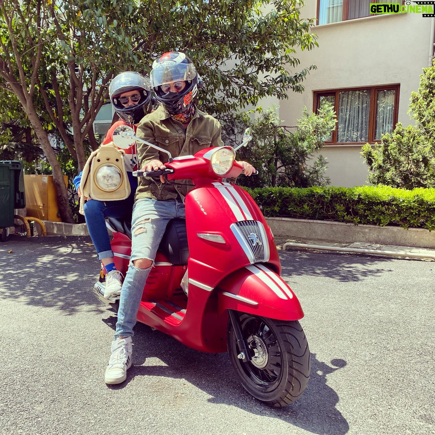 Burcu Biricik Instagram - Bu bir çekirdek aile fotosudur 🥰🎉🤟
İlk motor gezisini ateşlenmesi sonucu jet hızıyla veterinere gitmesiyle yapan Cesi’nin mutluluğu gözlerinden okundu 😅
📷: @gizemonen 🎈