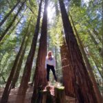 Jessica Capshaw Instagram - Wow. Just...wow. 🌲🌲🌲🌲
📷: @christopher_gav