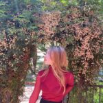 Ella Anderson Instagram - under my arch of flowers