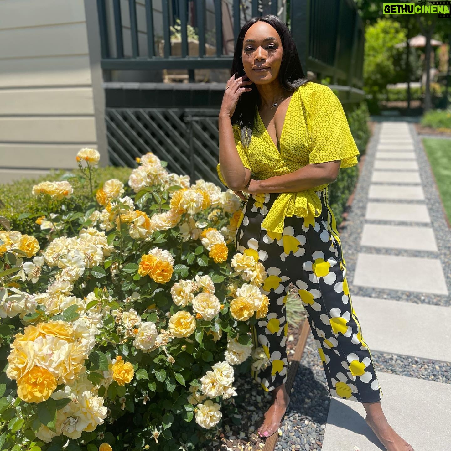 Angela Bassett - 162.9K Likes - Happy Friday!!! Smell the roses of today 💛💛💛