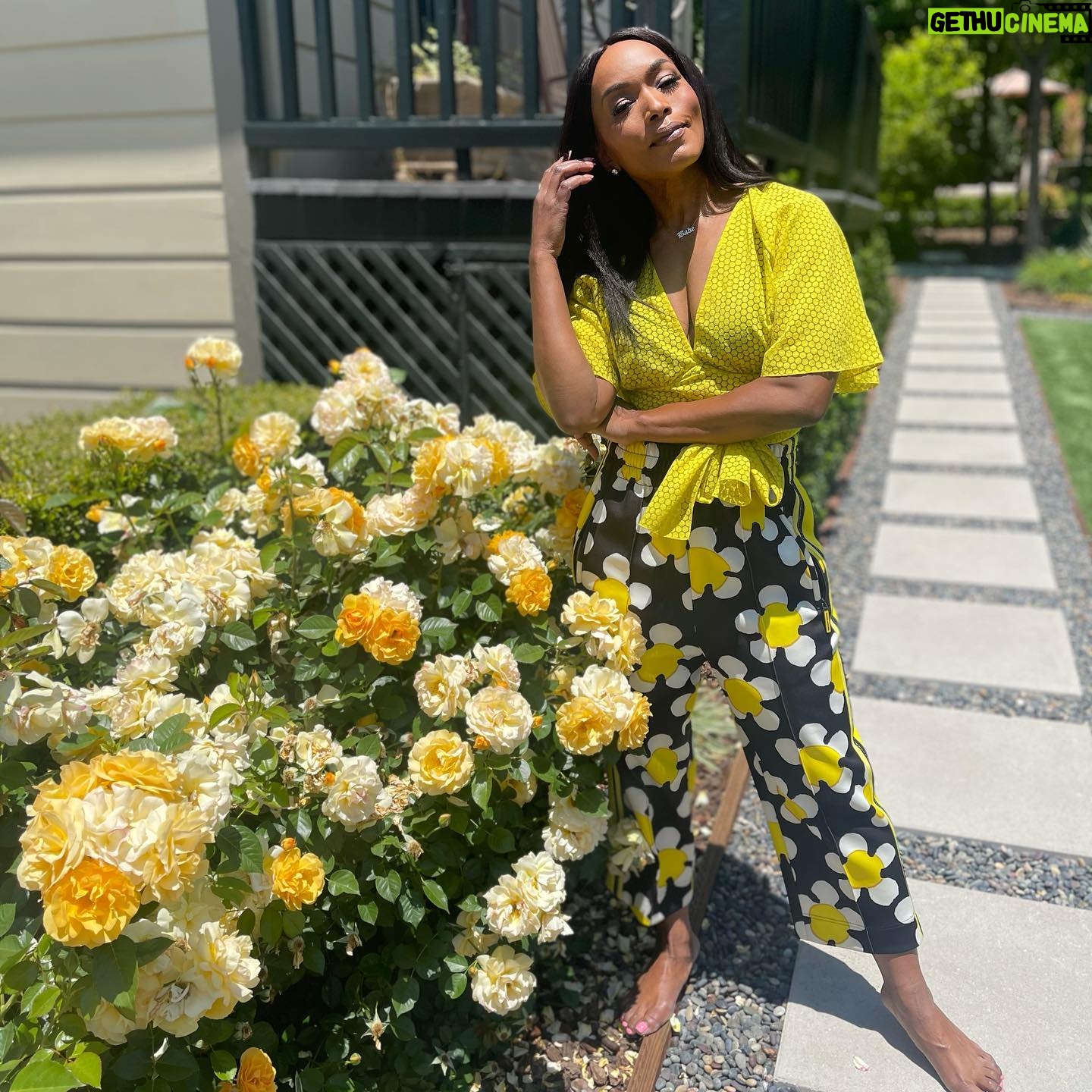 Angela Bassett - 162.9K Likes - Happy Friday!!! Smell the roses of today 💛💛💛