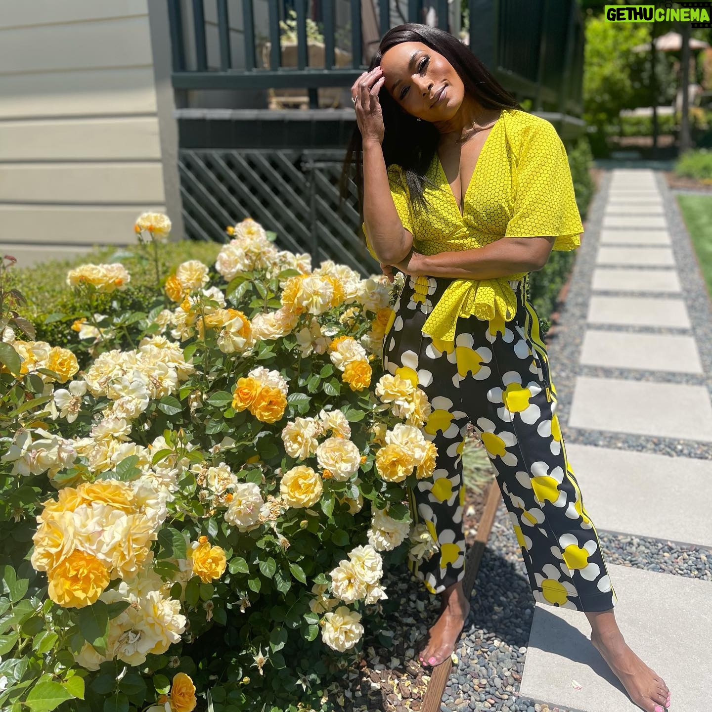 Angela Bassett - 162.9K Likes - Happy Friday!!! Smell the roses of today 💛💛💛