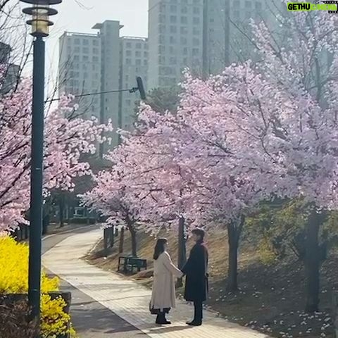 Park Bo-young Instagram - 그동안 어느 날 우리 집 현관으로
멸망이 들어왔다를 시청해주신 분들께 진심으로 감사드립니다❤️