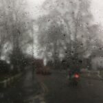 Niki Karimi Instagram – .
.
.
پنج سال گذشت
#عباس_کیارستمی 
#abbaskiarostami 
.
.
عكس از خودم
.
.