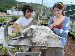 Milla Jovovich Instagram - We’re finally in Newfoundland for the last leg of @everanderson’s new movie #peterpanandwendy! We spent the day walking around the gorgeous town and had lunch at the historic @mallardcottage which was so delicious. They even have their own garden in the backyard and in the last pic you can see the way they roast meat, slow and low on hot coals made of wood from the area. Ever and her co-star @alexandermolonyofficial who plays Peter Pan had a great time finding old bones scattered around and trying to guess what each plant was growing in the garden. It’s a seaside town of charming, old houses painted in brilliant colors, sweet and friendly people and even cool vintage clothing stores. In the evening we sit downstairs at our hotel with the rest of the cast and parents playing Empire for hours! I feel so lucky to be experiencing this with my amazing kiddo! #peterpanandwendy #disney #newfoundland