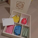 Victoria Song Instagram – @loewe 💜❤️🧡💚💙