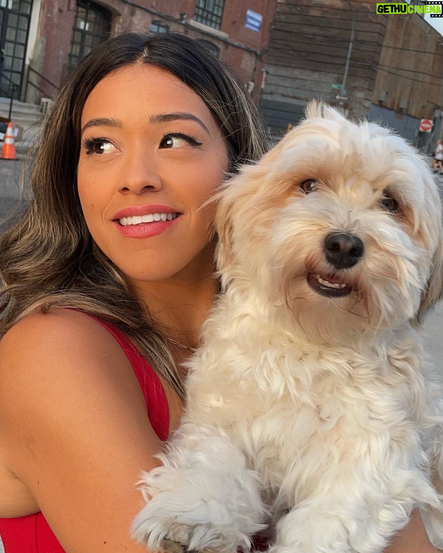 Gina Rodriguez - 301.3K Likes - 🗽❤️