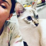 Caterina Scorsone Instagram - Angel alien. #rescue 👼🏻👽🐱❤️