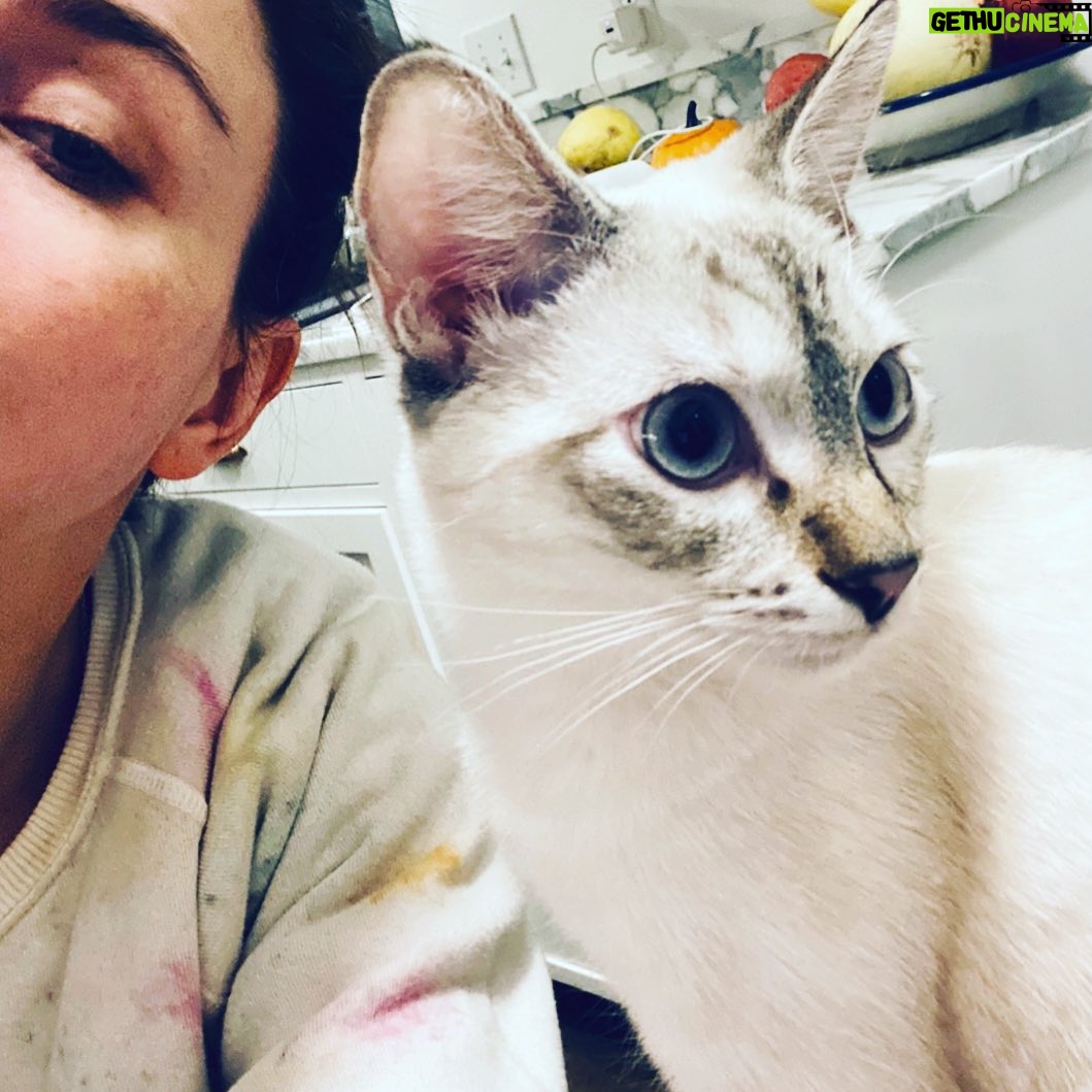 Caterina Scorsone Instagram - Angel alien. #rescue πΌπ»π½π±β€οΈ