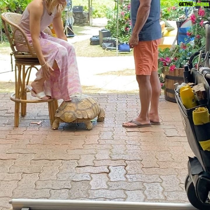 Gina Rodriguez Instagram - Directing Doogie Kamealoha MD. Ep 8 now streaming on @disneyplus