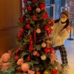 Park Bo-young Instagram – 메리크리스마스🎄🤗