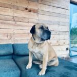 Gökçe Akyıldız Instagram -