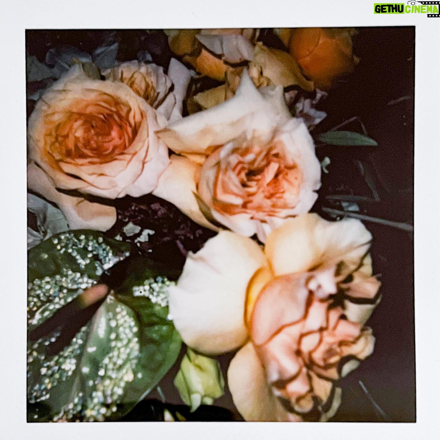 Amanda Gorman Instagram - 3 MIL VIEWS❗️ of New Day’s Lyric in only a day! 🤯🤯I love you all so much, thank you for welcoming the new year with some poetry, and thank you @instagram for embracing my words on this platform and everyone behind the scenes who brought this to life. If you like the poem remember to donate or share to @rescueorg , one of many phenomenal organizations working to respond to the pandemic worldwide 💛
📸 @coleplay