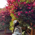 Park Bo-young Instagram - .
새해 복 많이 받으세요🥰 
photo by 엄마