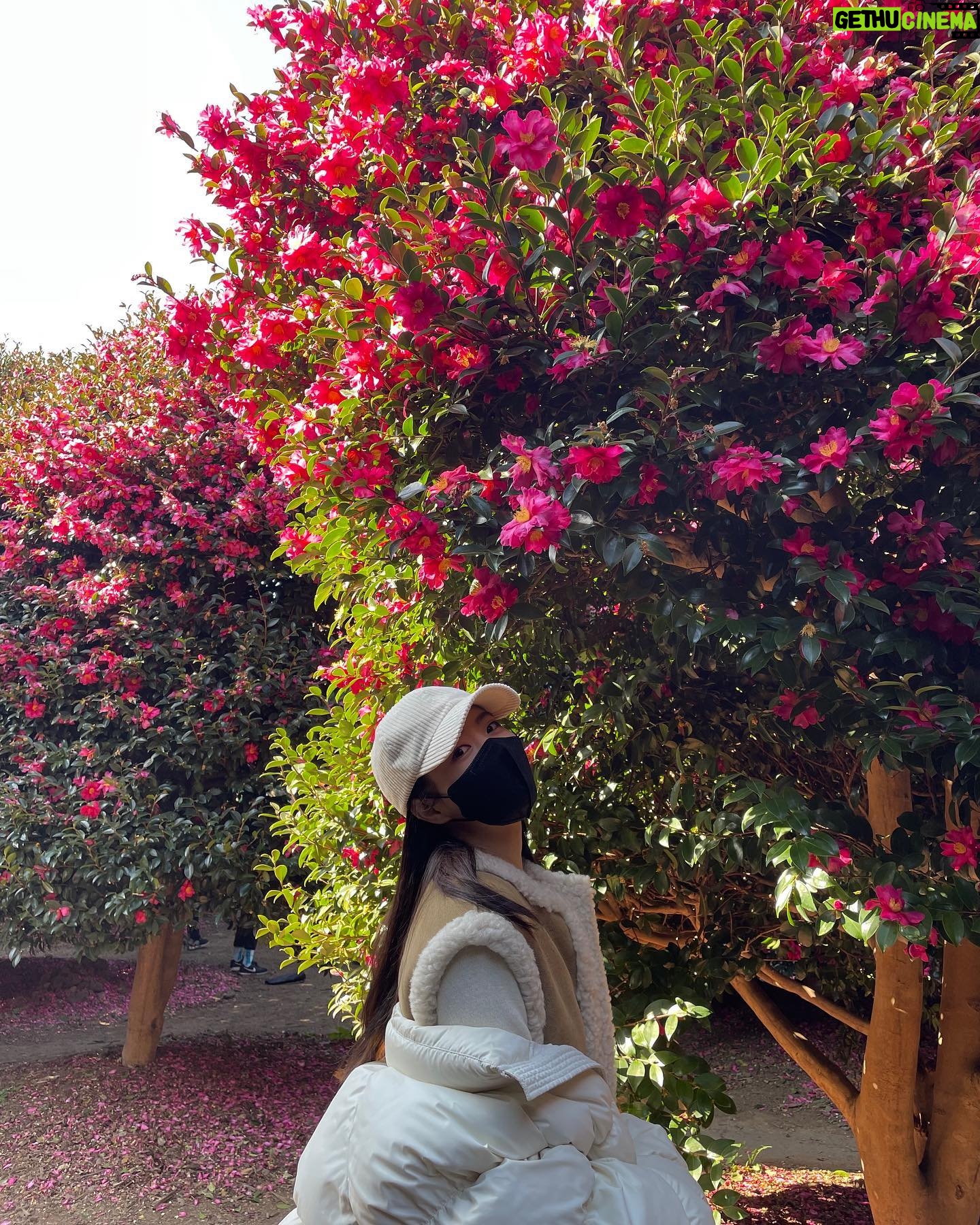 Park Bo-young Instagram - .
새해 복 많이 받으세요🥰
photo by 엄마