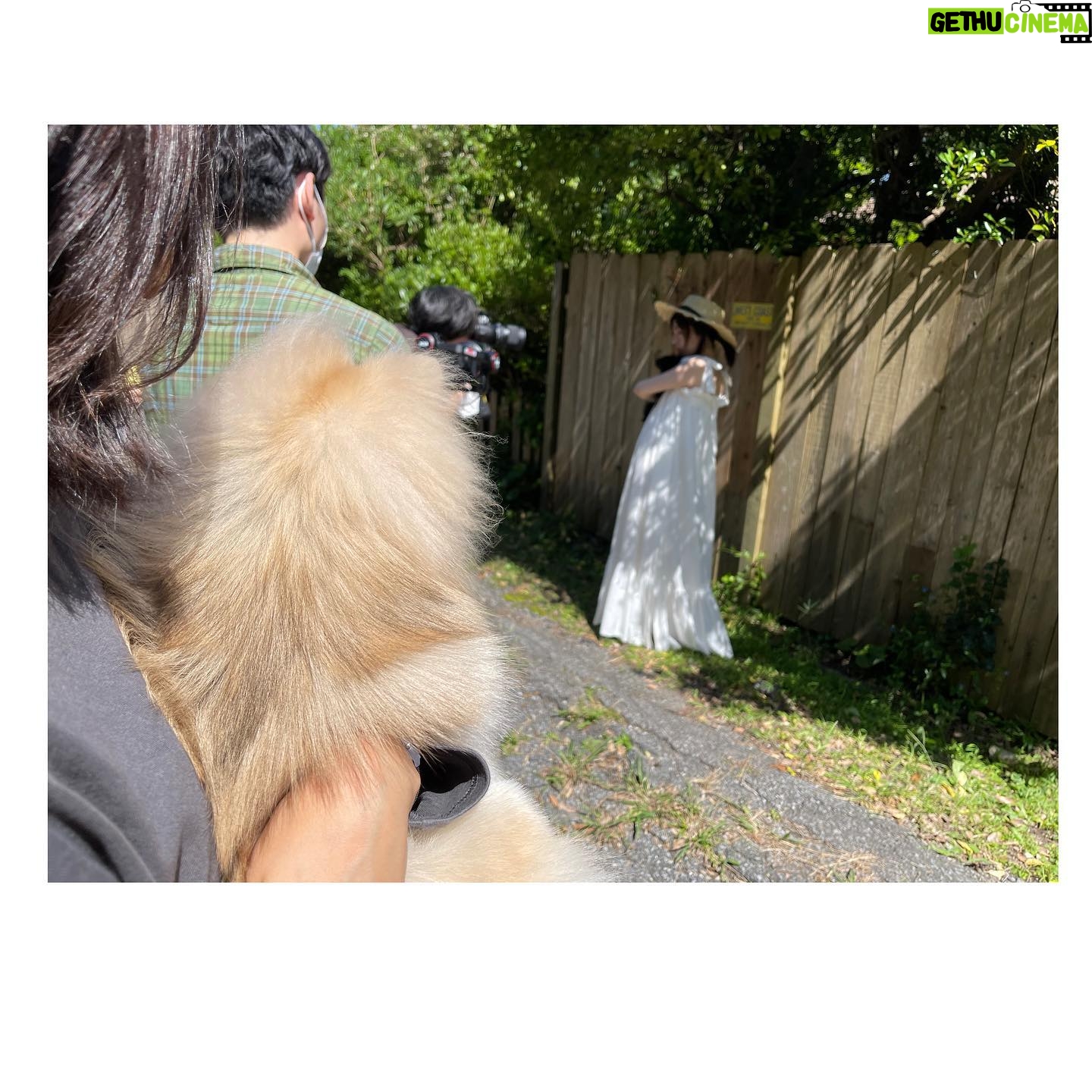 Minami Hamabe - 266.8K Likes - きょうも1日おつかれさまです🍑
そしてさっそくごめんなさい…
日付を勘違いしていたようで!!
『カレンダー2022』が
昨日より発売しております!!🍑
卓上カレンダーです!
いろんなお部屋に馴染むような自然な色づかいのお写真でカレンダーを作っています🍑
4月始まりのカレンダーです🍑
2022年も素敵な年にしましょっ
そしてその日々をぜひこのカレンダーと共にゆっくりと巡りましょっ
カレンダー撮影には
うちのわんこちゃんが珍しく
遊びに連れて行ってもらって
草原を駆け回っていました笑
撮影の様子をマネージャーさんに
抱っこされて見守るぽぷを載せさせてください…
ほんとはもーっと写真あるんですが
一旦我慢します。
帰りは膝の上でしがみついて寝てました。癒されました。
楽しく元気にそして癒されながら撮影したカレンダーですので、
その空気がみなさんのお部屋にも届いてラッキーアイテムのようなものにもなれたら嬉しいです🍑
我慢できなくてオフショっトまた載せちゃうかもですが、
ひとまず!!昨日から発売しているカレンダーをぜひ宜しくお願い致します🍑