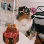 Sheryl Rubio Instagram - My baby girl está cumpliendo 5 años el día de hoy 💕 pidiéndole al universo que te quedes en esta vida con nosotros hasta que cumplas al menos 20 años (humanos) i love you!!!