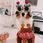 Sheryl Rubio Instagram - My baby girl está cumpliendo 5 años el día de hoy 💕 pidiéndole al universo que te quedes en esta vida con nosotros hasta que cumplas al menos 20 años (humanos) i love you!!!