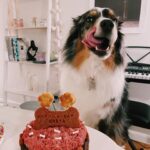 Sheryl Rubio Instagram - My baby girl está cumpliendo 5 años el día de hoy 💕 pidiéndole al universo que te quedes en esta vida con nosotros hasta que cumplas al menos 20 años (humanos) i love you!!!