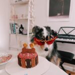 Sheryl Rubio Instagram - My baby girl está cumpliendo 5 años el día de hoy 💕 pidiéndole al universo que te quedes en esta vida con nosotros hasta que cumplas al menos 20 años (humanos) i love you!!!