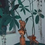 Aurora Aksnes Instagram – Artemis 🥀🍃🌿🌾🌱