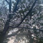 Kasumi Arimura Instagram –