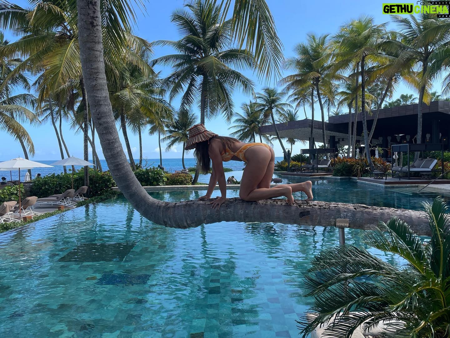 Gina Rodriguez Instagram - Climbing this branch was more difficult than I assumed…#RCMemories #RCReserve #DoradoBeachReserve