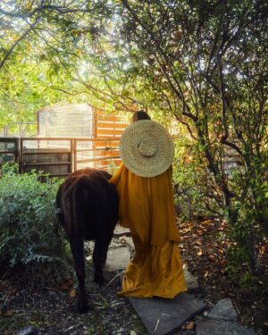 Nikki Reed Instagram - Incredibly honored to be on the cover of @santabarbaramag this month, and so very excited to have the issue center around off-grid-living and sustainability. My idea for this shoot was to merge the two worlds that already represent my daily life; the life of a businesswoman and the life of a farm lover. I wanted to use only pre-owned repurposed fashion from my very own closet, without pulling a single new piece and we did it! Thank you @jennifersmith_c for believing in my company and asking me to be your cover girl, and @samidrasin for capturing my truest self. @santabarbaramag I am so grateful for the opportunity to share a little bit of Bayou and a whole lot of animal love with your readers. And the biggest thank you to Sweet Hillock Farm for allowing Sami to take these images in your beautiful space. The magic you create on that farm is unparalleled. For anyone who wants more, I’ll be taking over SB mag’s IG this weekend so come join me there!🌻

@tweegasb 
@thisiskelseym