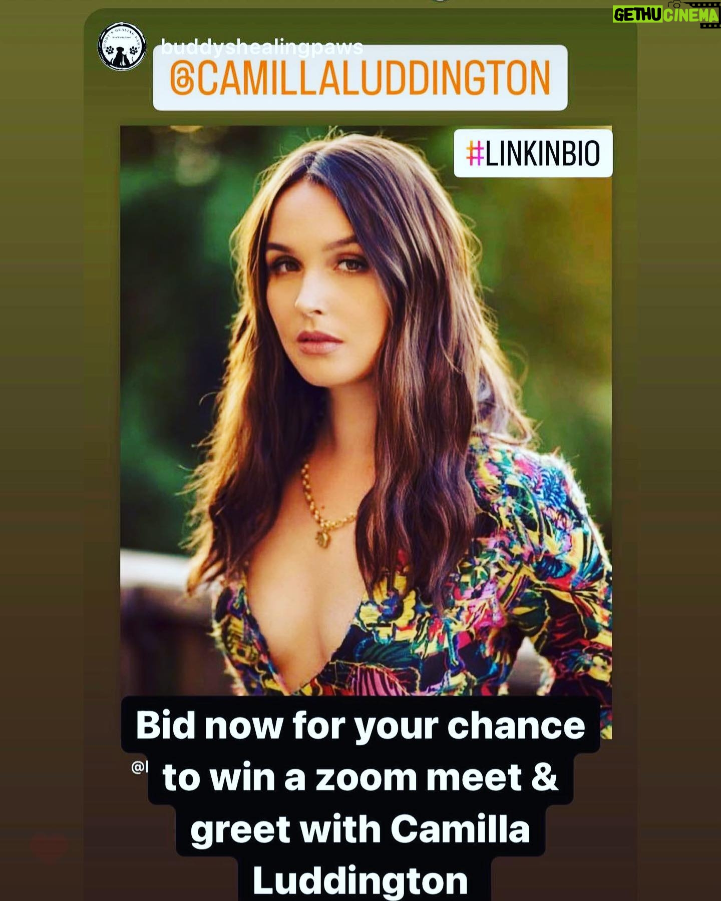 Camilla Luddington Instagram - Hiiiii!!!!! Bid to do a zoom meet and greet with meeeee for the amazing charity @buddyshealingpaws 🥳🥳🥳
They help owners who can’t afford their pet’s medical care!! 💖
link in bio! I can’t wait to chat with you! ❤️❤️❤️❤️