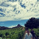 Camilla Luddington Instagram - California vineyards. 🤗 🍷 #hiatus #grapes
Q- If we did an episode of #greysanatomy at one.. which character would drink the most?? 🤣🤷‍♀️ answer in the comments!