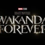 Danai Gurira Instagram - WAKANDA FOREVER