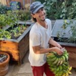 Bonnie Wright Instagram - Banana harvest in our little urban jungle 🍌