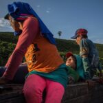 Bonnie Wright Instagram - These beautiful and powerful images by @lena_mucha document the lives of a group of transgender women who fled their homes in the larger Embera Katio community in Colombia and now live in the mountains as coffee farmers and forest guardians. #internationaldayoftheworldsindigenouspeoples 🌿 full story @rainforestalliance
