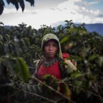 Bonnie Wright Instagram - These beautiful and powerful images by @lena_mucha document the lives of a group of transgender women who fled their homes in the larger Embera Katio community in Colombia and now live in the mountains as coffee farmers and forest guardians. #internationaldayoftheworldsindigenouspeoples 🌿 full story @rainforestalliance