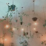 Aurora Aksnes Instagram - Some orange moments. If that makes sense to you!!!! 🌞✨🧡🌙